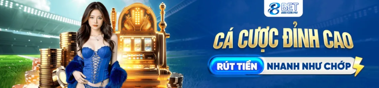 Hình ảnh đại diện cho các điều khoản và điều kiện của choang info